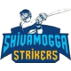 Shivamogga Strikers Flag