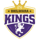Bhilwara Kings Flag