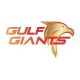 Gulf Giants Flag