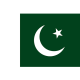 Pakistan flag team logo