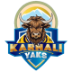 Karnali Yaks logo