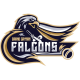 Grand Cayman Falcons Flag