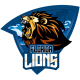 Florida Lions Flag