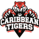 Caribbean Tigers Flag