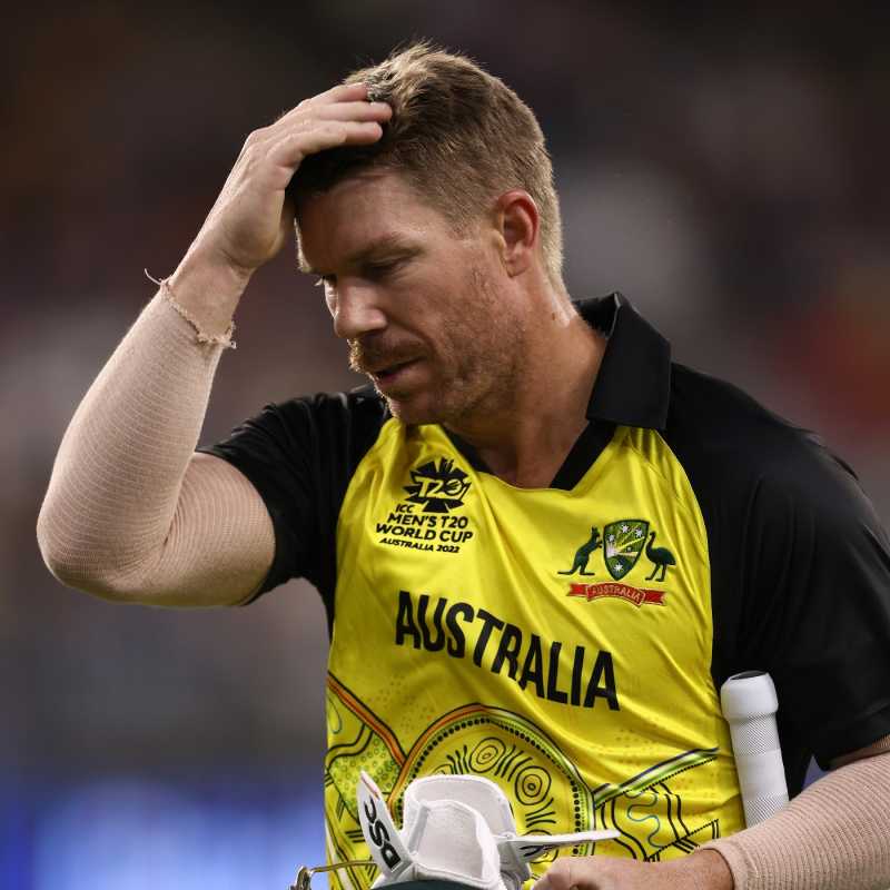 David Warner profile and biography, stats, records, averages, photos and  videos