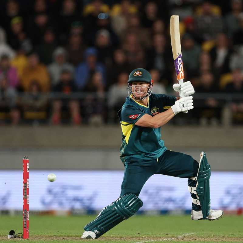 David Warner Profile - Cricket Player Australia