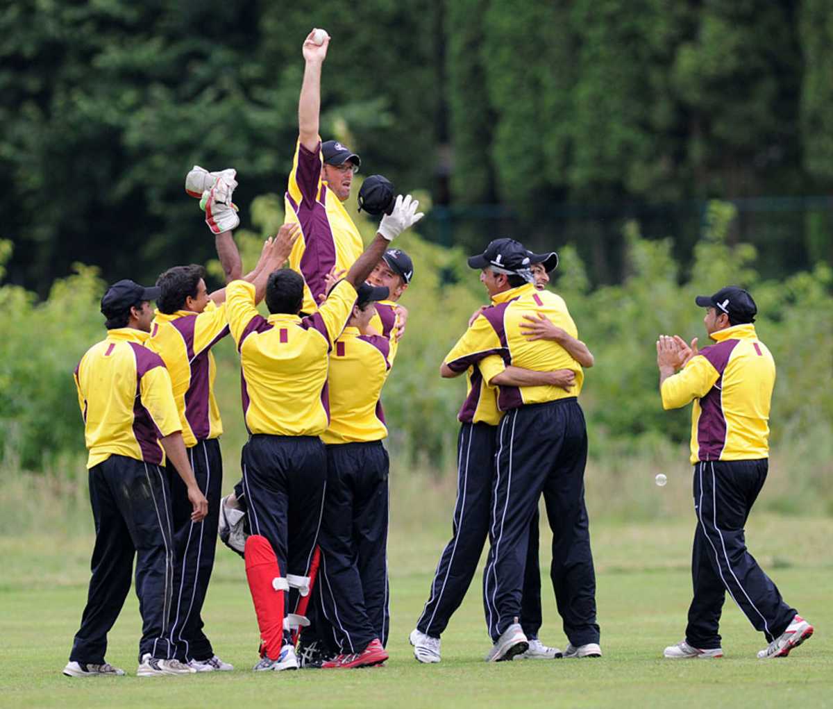 The Belgium players celebrate taking the final wicket against Austria
