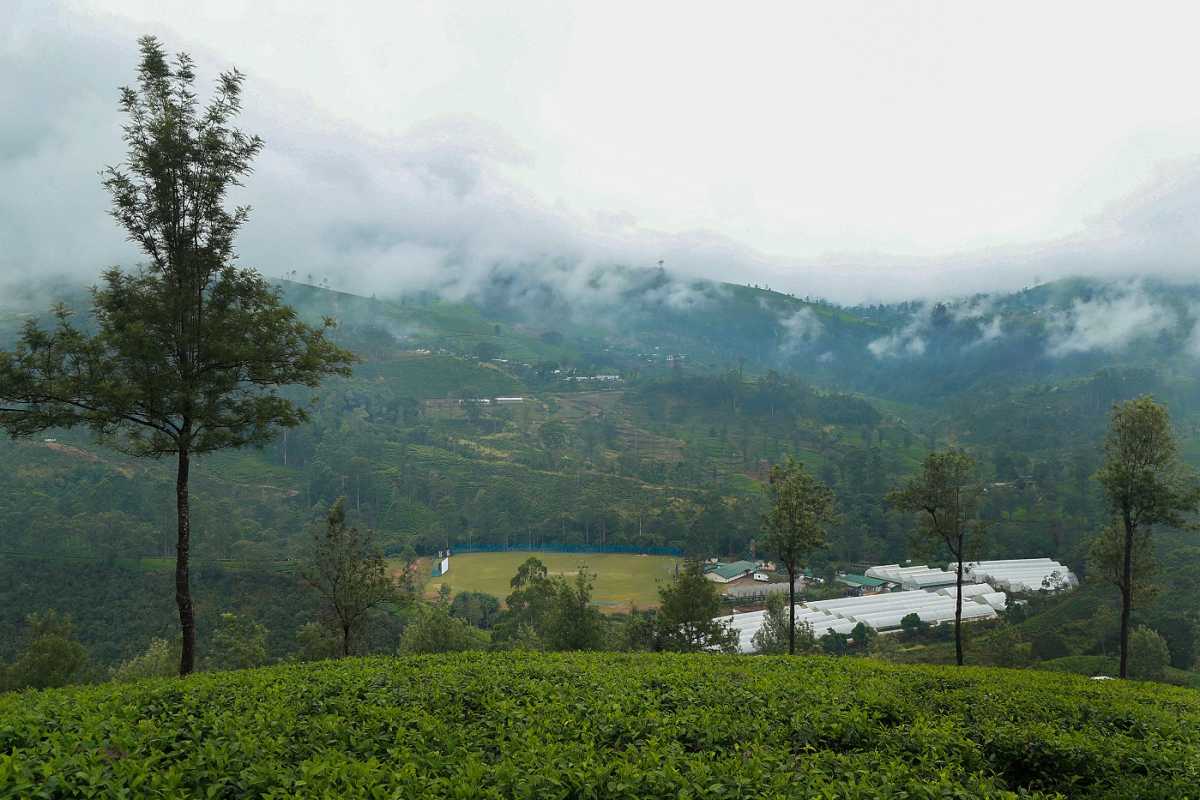 The Radella Cricket Ground in the backdrop of tea gardens and mountains, Radella, February 23, 2023