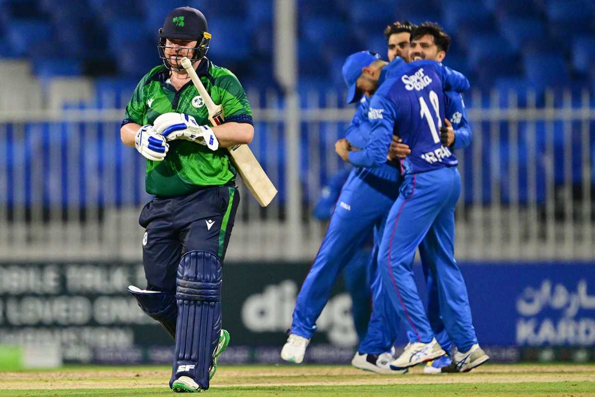 Afghanistan celebrate the wicket of Paul Stirling, Afghanistan vs Ireland, 3rd T20I, Sharjah, March 18, 2024