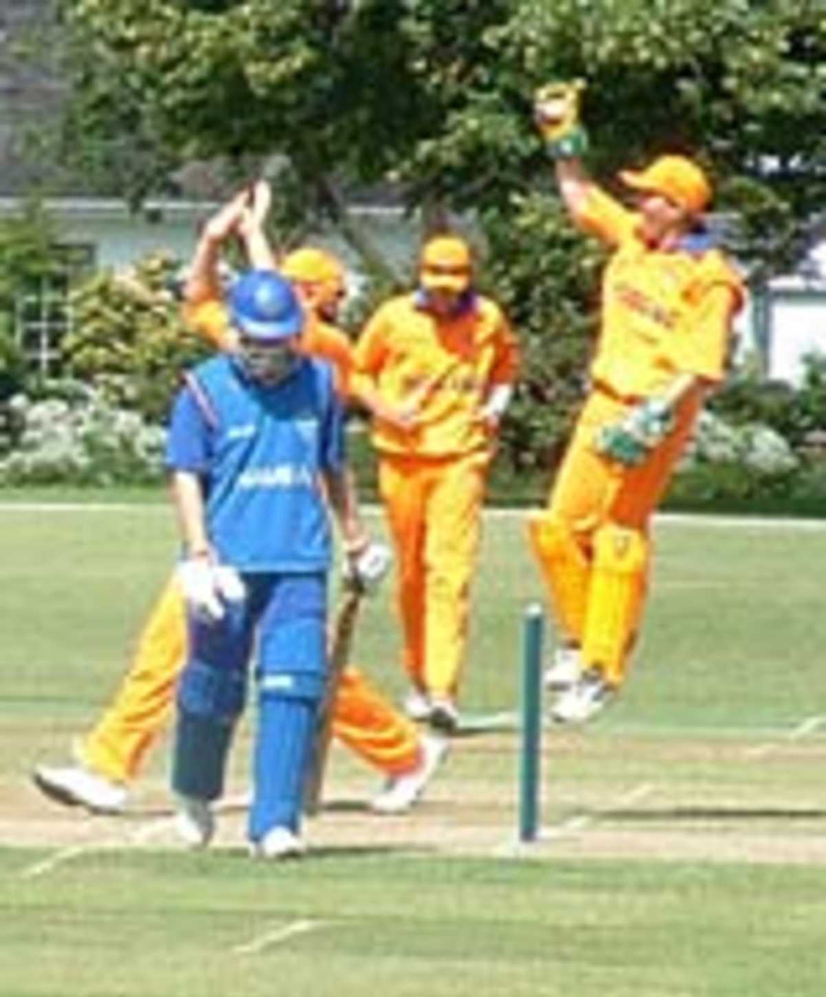 Holland celebrate another Namibian wicket