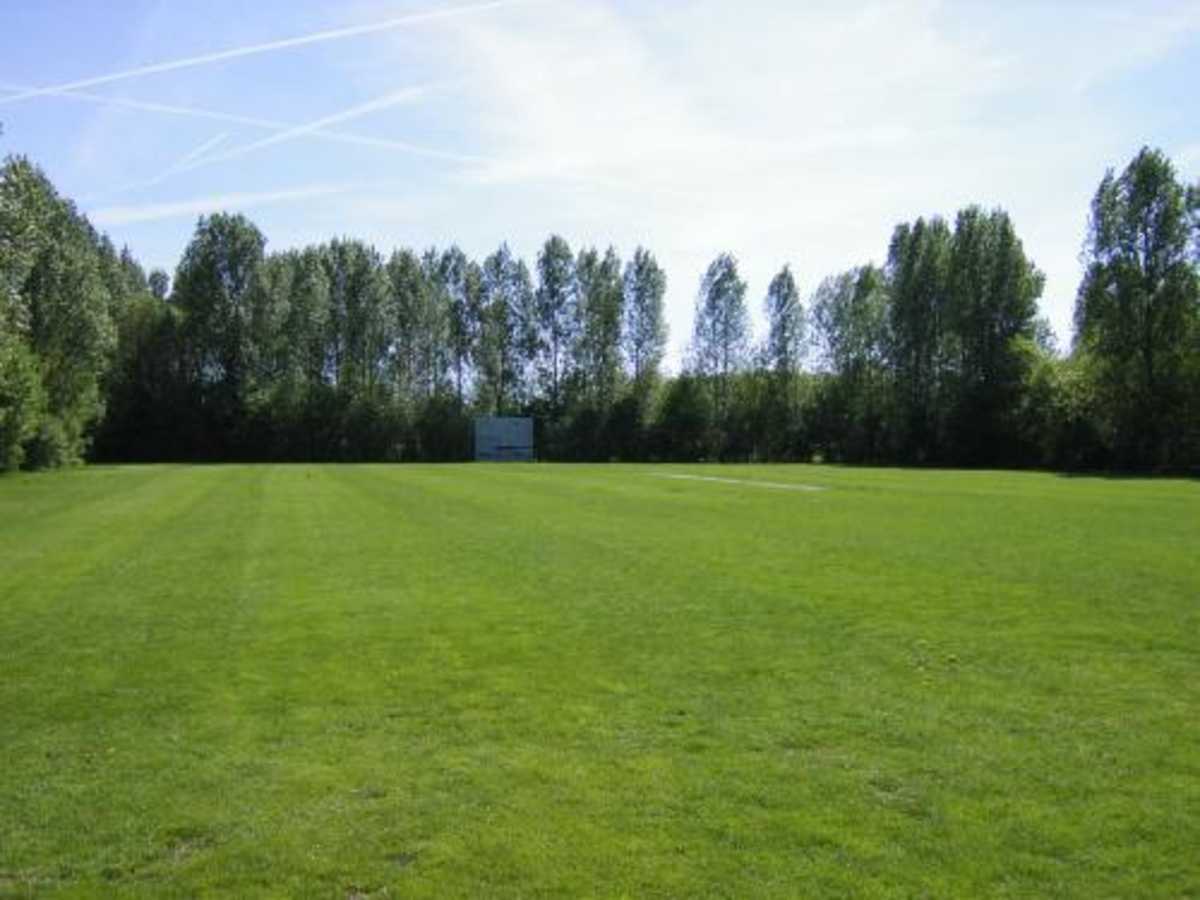 Cricket ground at Wierdenpark, Almere - mowed, but out of use, with broken screens.