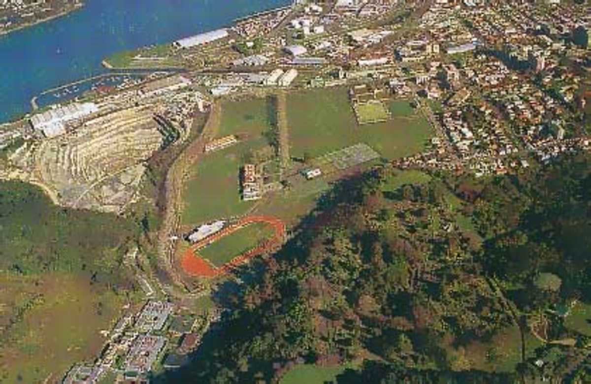 An aerial view of Logan Park and University Oval, Dunedin.
