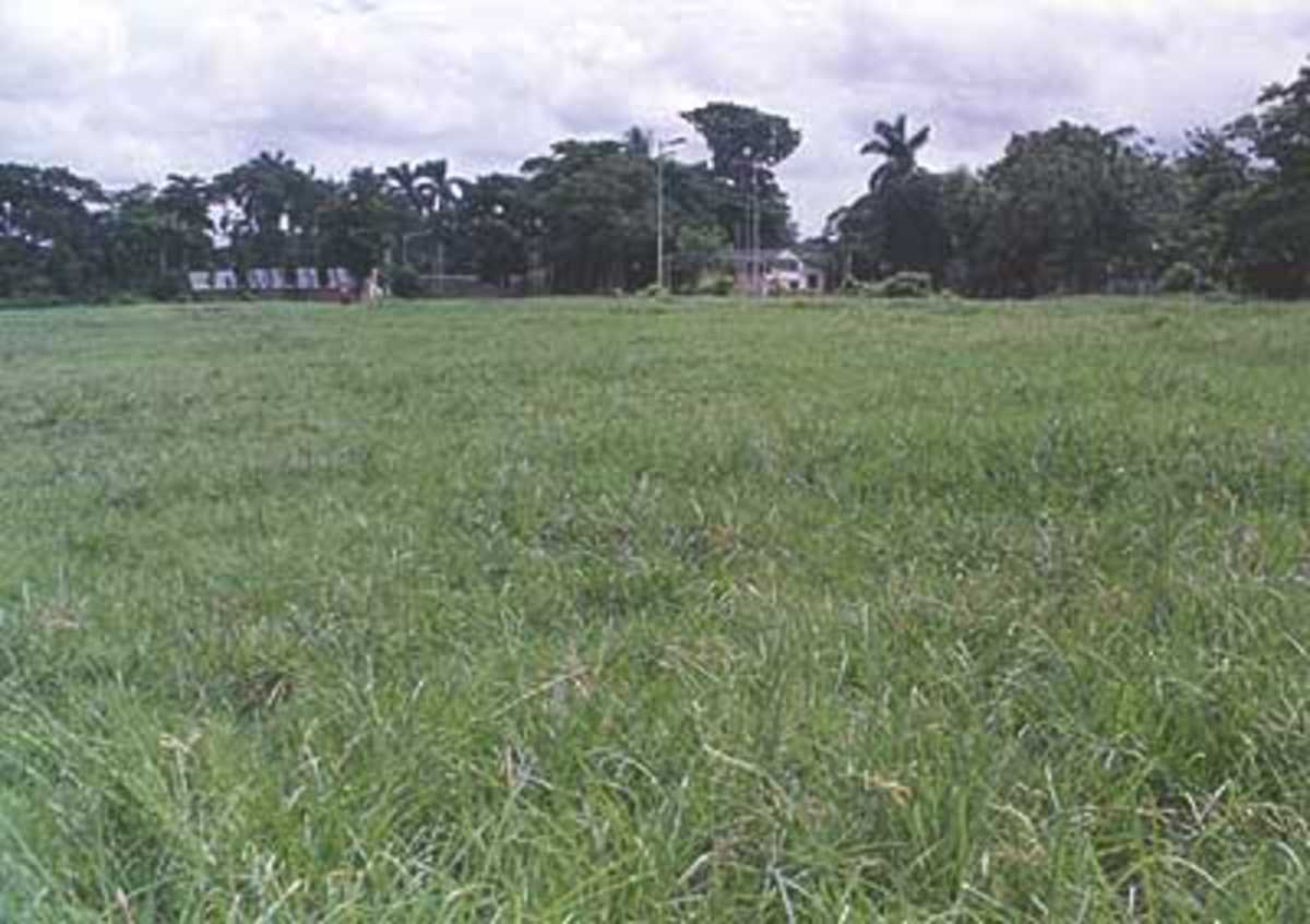 A ring side view of the Tallah Park ground, Calcutta