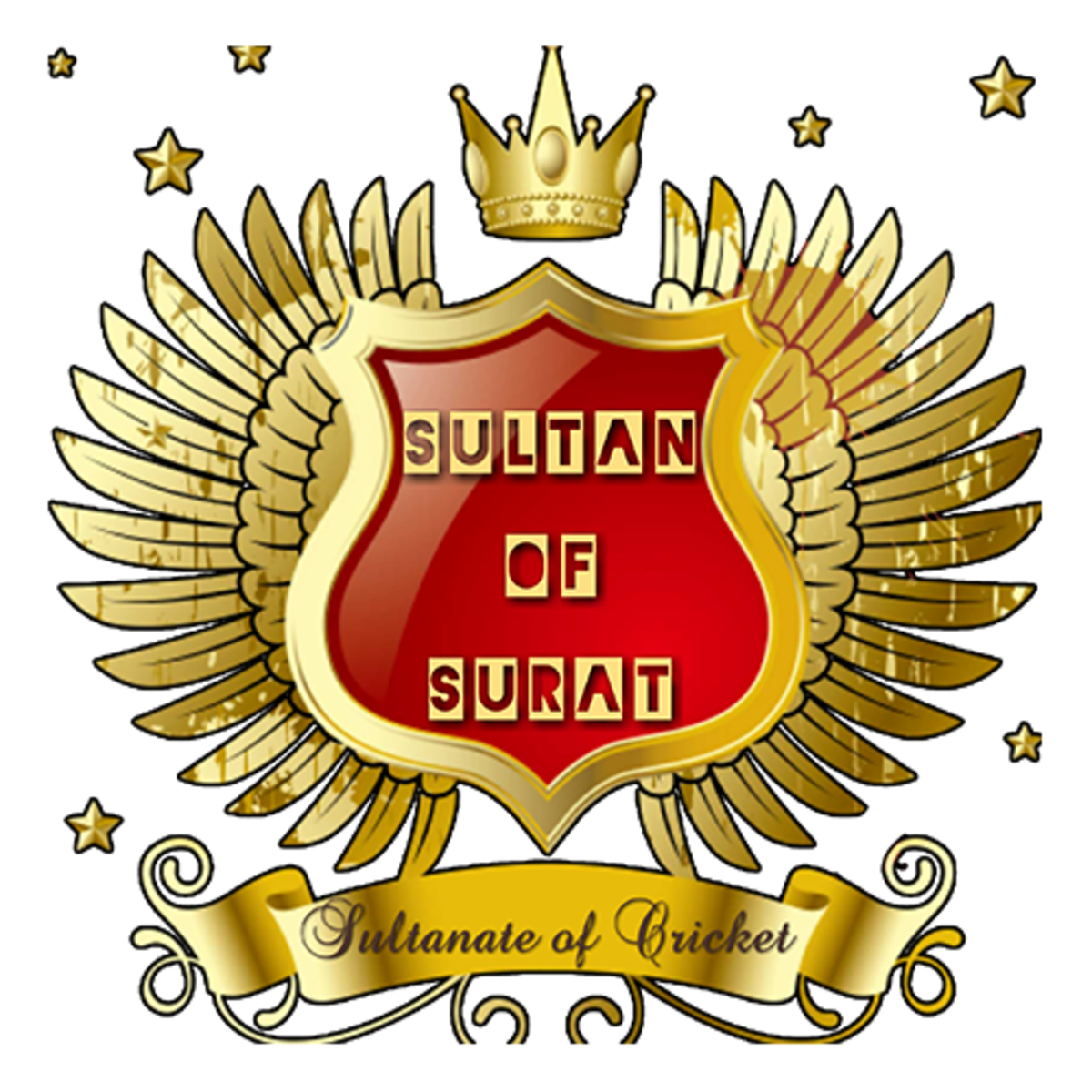 Cricket Team Logo Png - Multan Sultan Logo Png, Transparent Png ,  Transparent Png Image - PNGitem