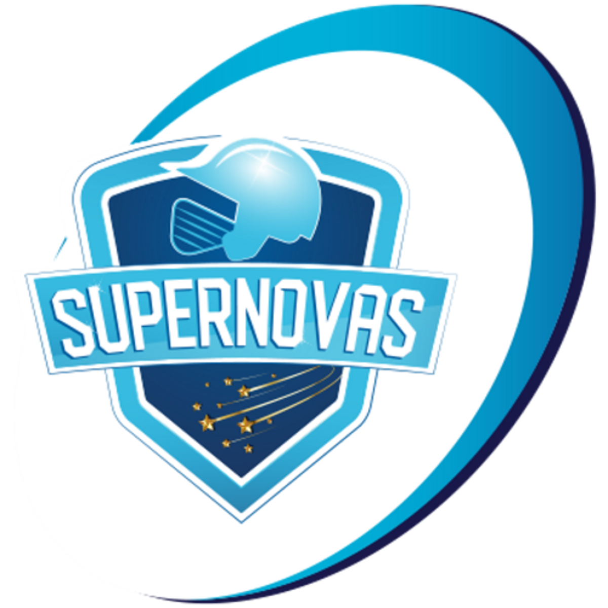 Kings Xi Punjab Ipl Team - Ipl 2018 Teams Logo Transparent PNG - 448x480 -  Free Download on NicePNG