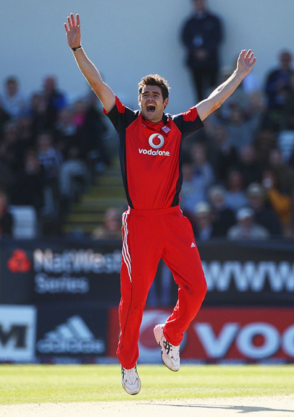 James Anderson lets out a strong appeal