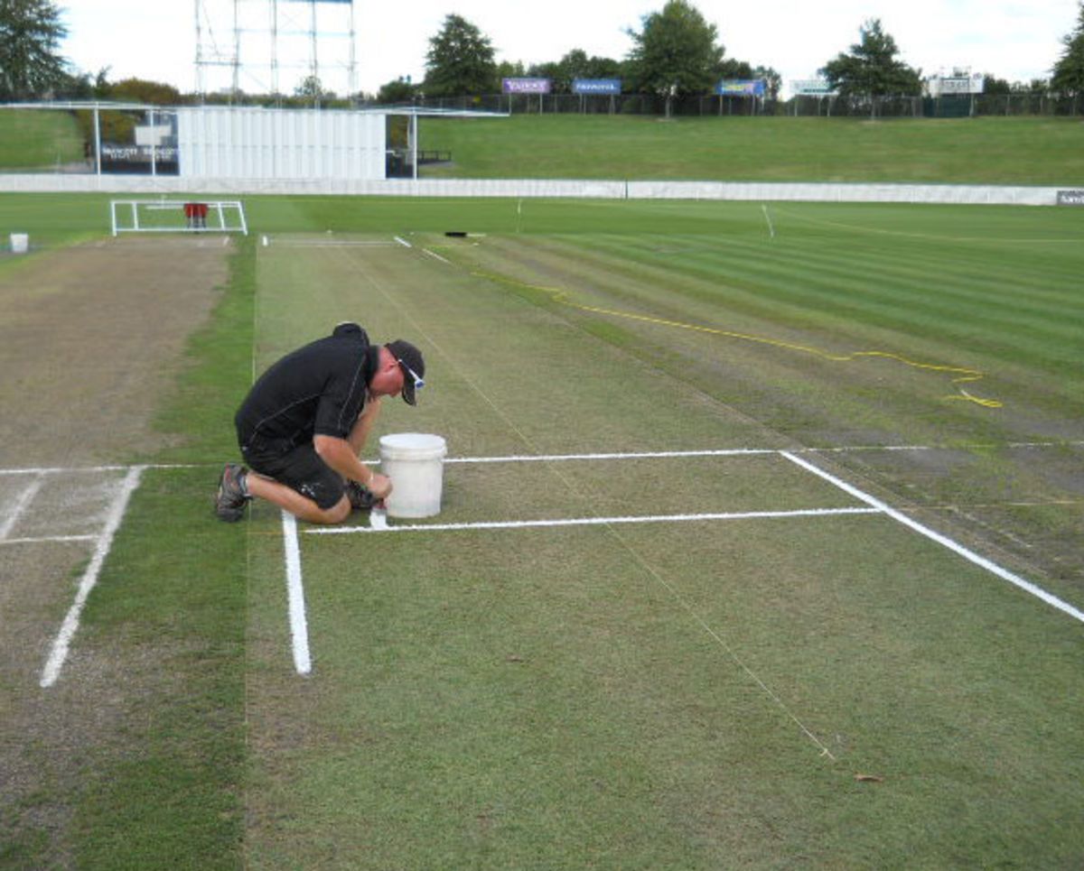 A green pitch at Seddon Park