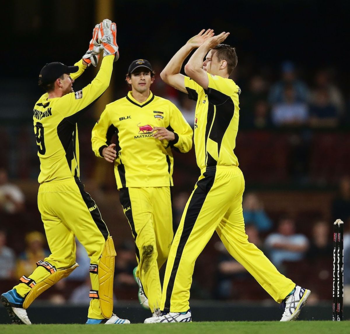 Jason Behrendorff celebrates one of his five wickets