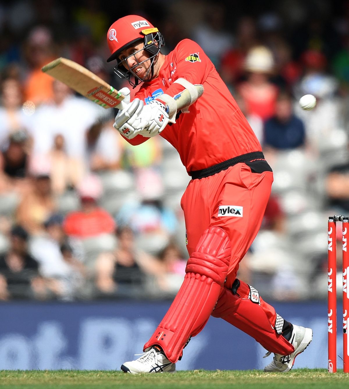 Tom Cooper played a big part in the Melbourne Renegades' 2018-19 win ...