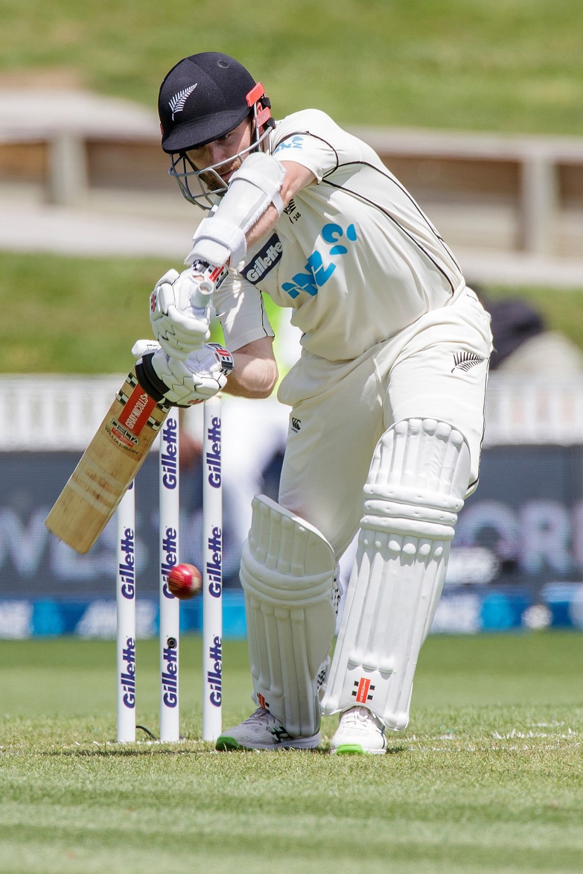 Vibrant Williamson Bolsters New Zealand For West Indies Test Series Scene Photography Vibrant Williamson Bolsters New Zealand For West Indies Test Series Scene Photography