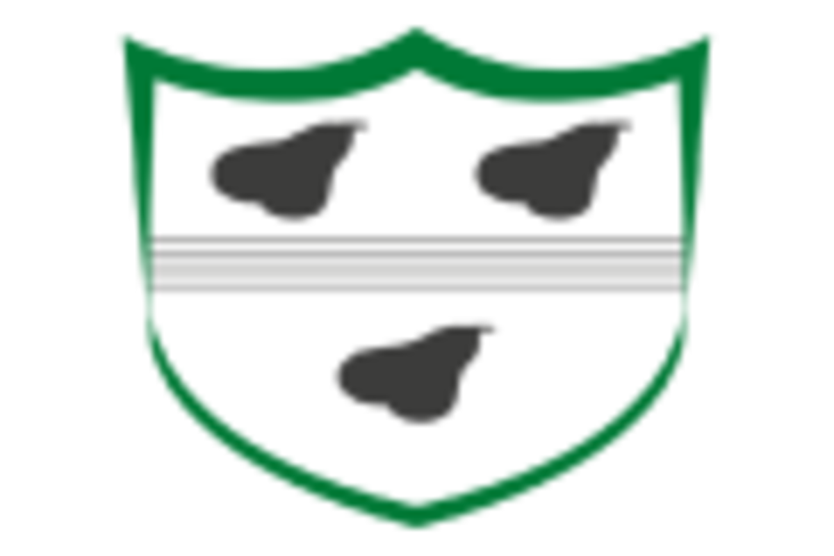 Worcestershire logo | ESPNcricinfo.com