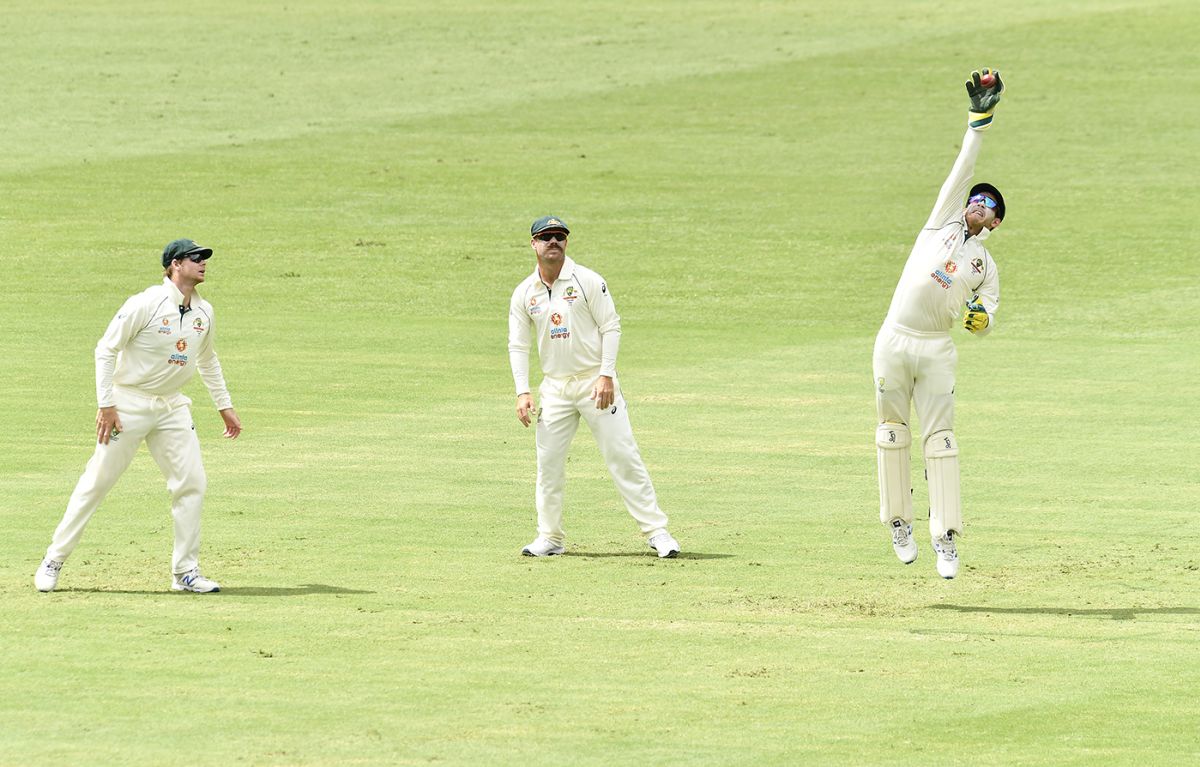 The Gabba bounce makes Tim Paine stretch | ESPNcricinfo.com