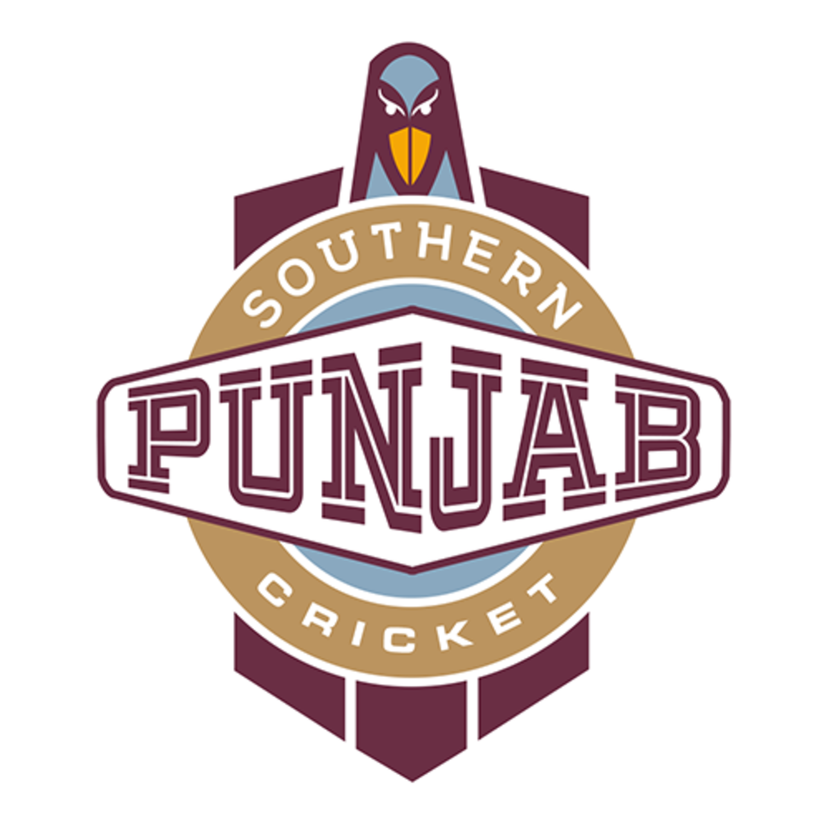 Southern Punjab Team Logo 
