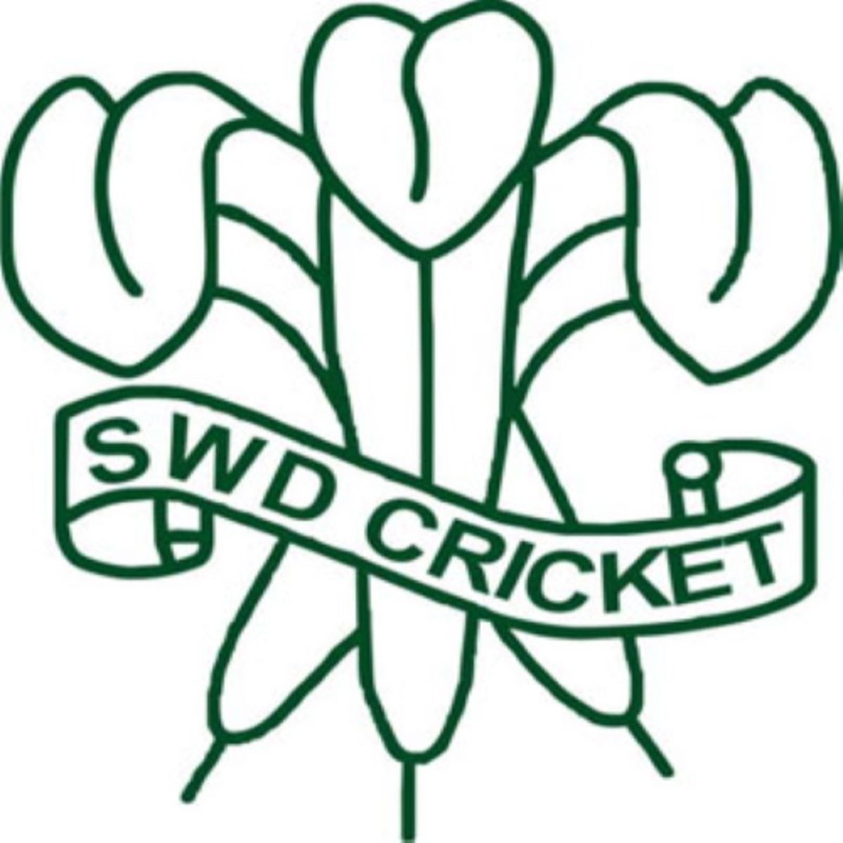South Western Districts team logo