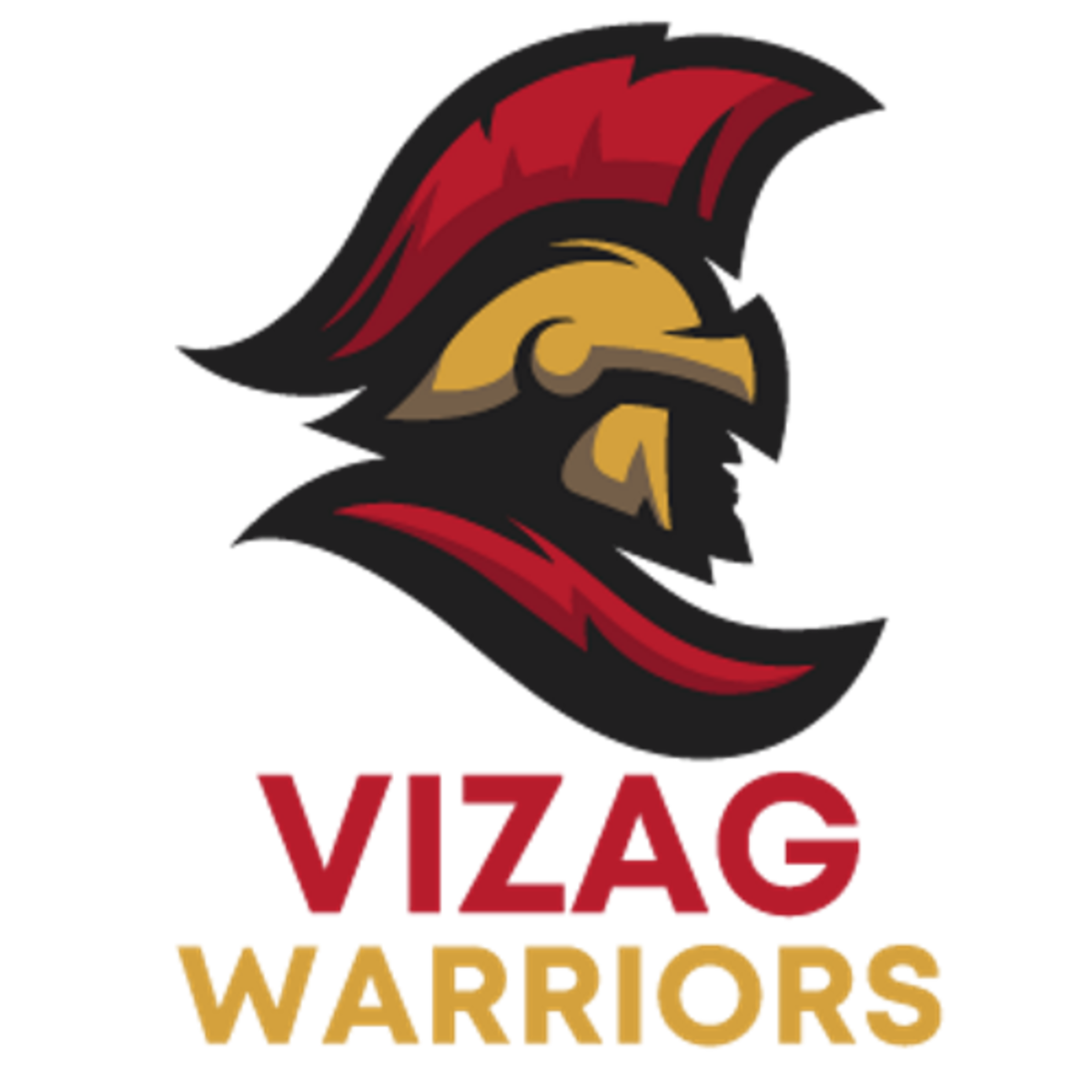 Vizag Warriors team logo