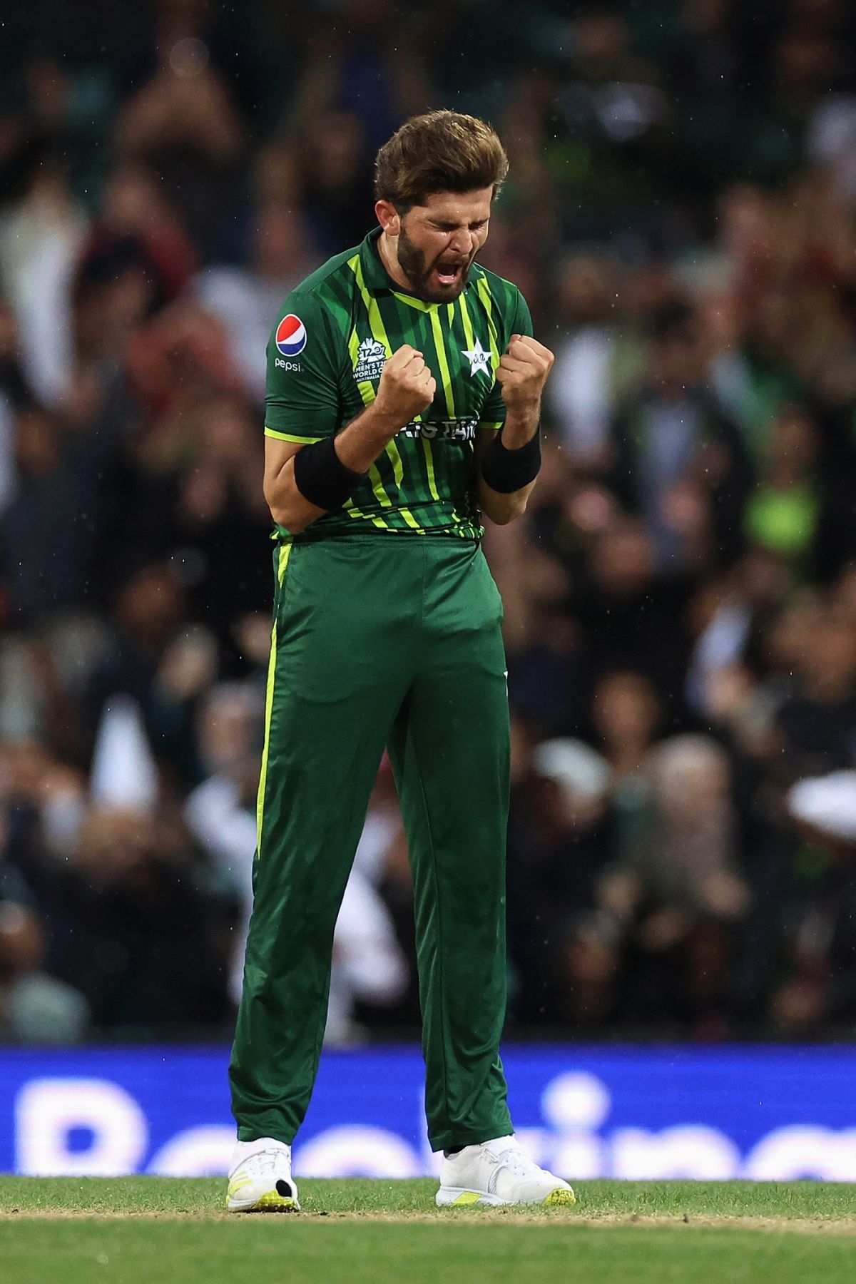 Shaheen Afridi Celebrates The Wicket Of Rilee Rossouw | ESPNcricinfo.com