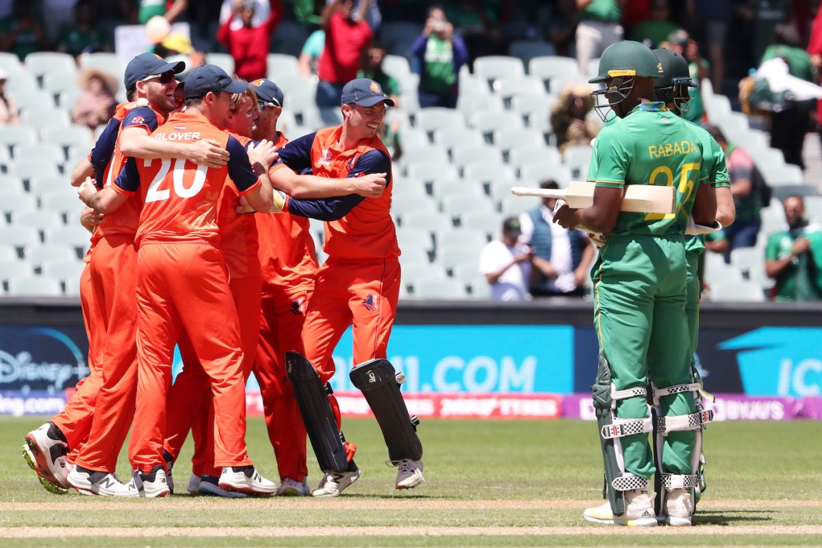The Netherlands players celebrate their win over South Africa