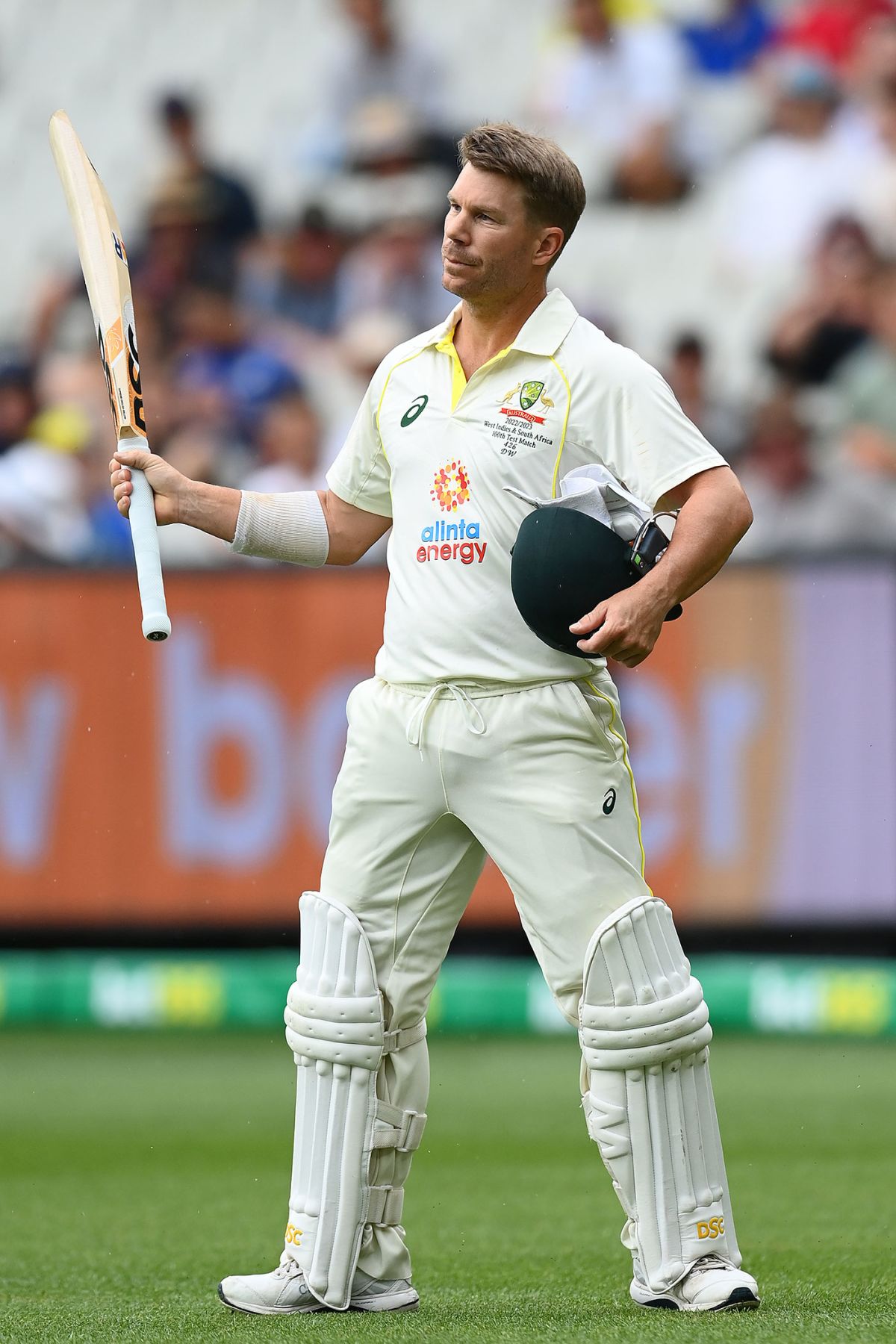 David warner hd wallpaper. | David warner, Australia cricket team, Warner