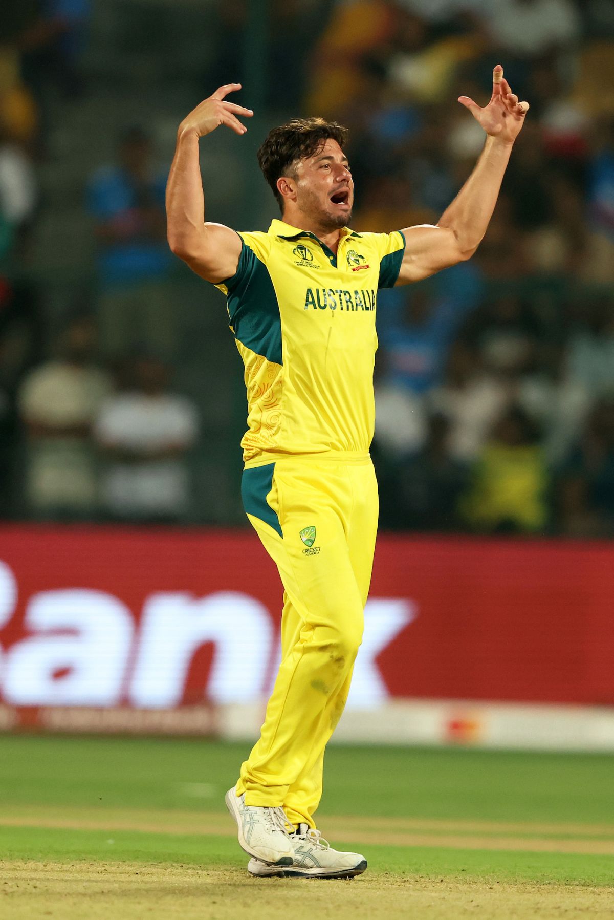 marcus-stoinis-struck-in-consecutive-overs-to-remove-both-openers