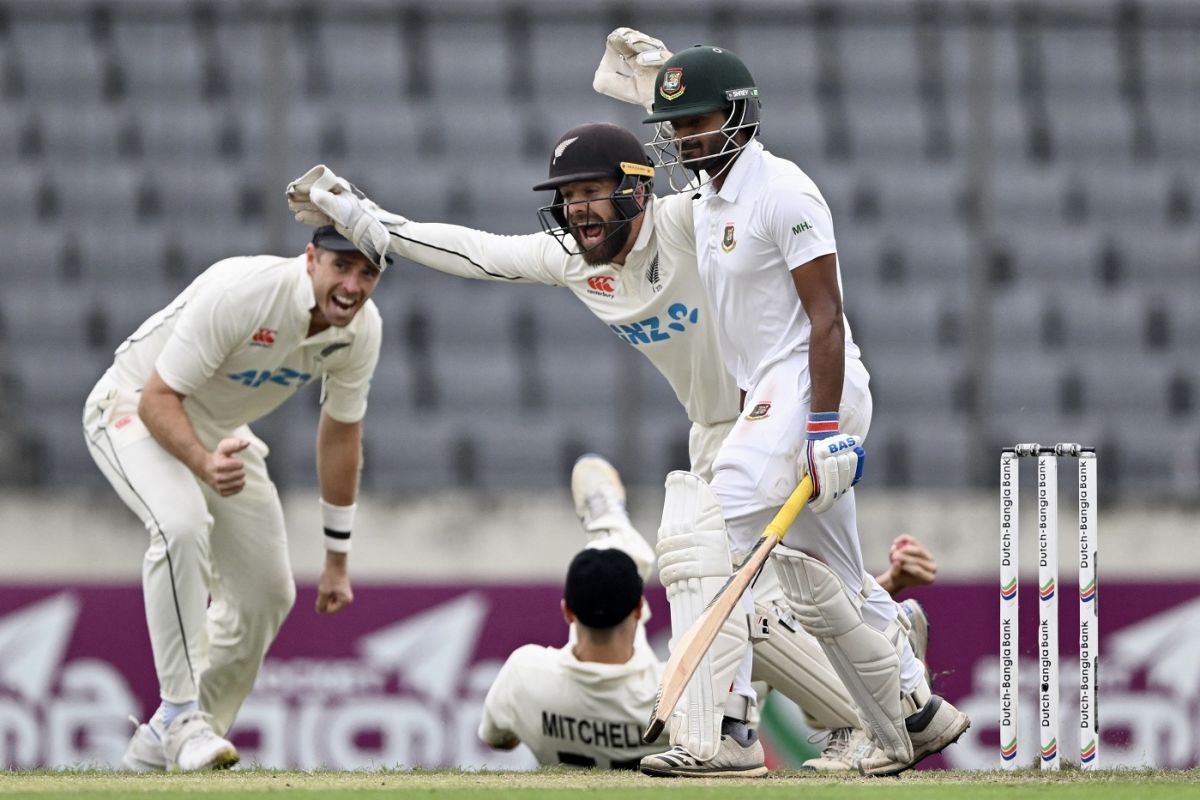 Look at Tim Southee and Tom Blundell celebrate, Bangladesh vs New Zealand, 2nd Test, Mirpur, 3rd day, December 8, 2023