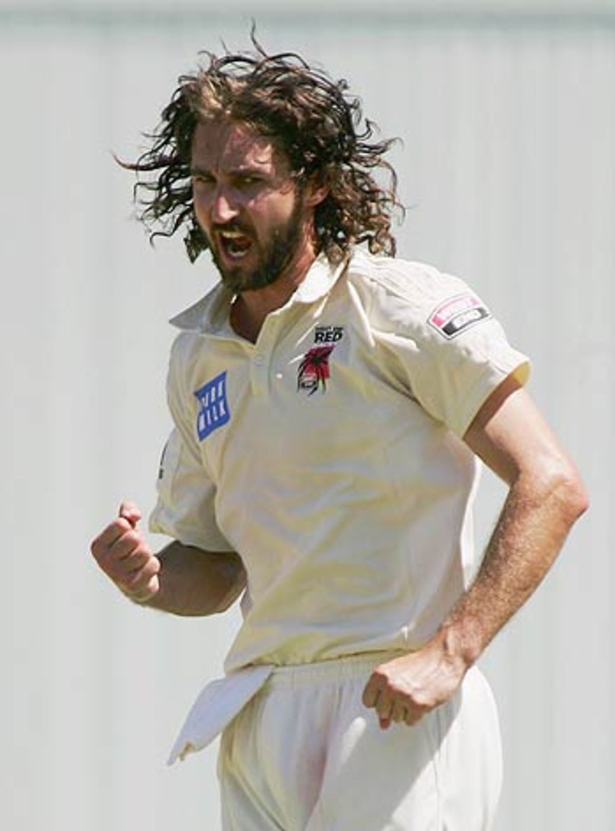 Jason Gillespie celebrates a strike