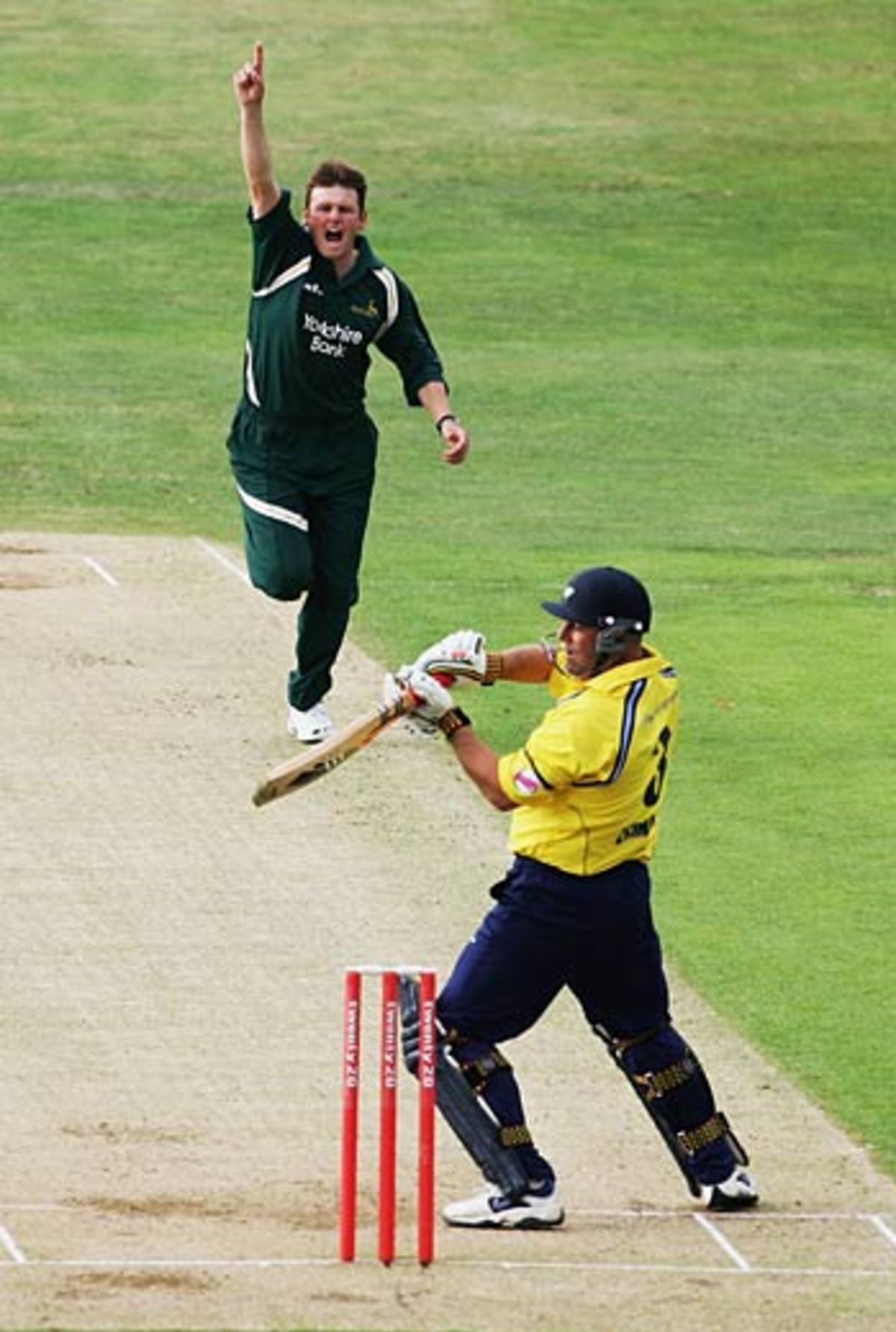 andy-harris-celebrates-removing-darren-lehmann-espncricinfo