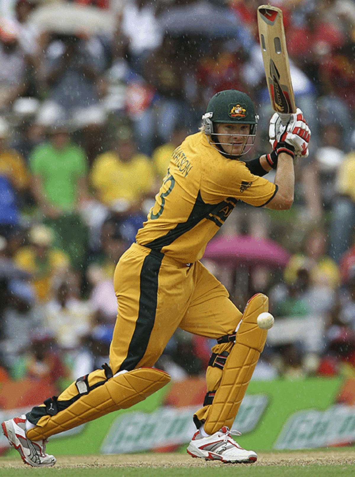australian-fans-enjoy-matthew-hayden-s-power-hitting-espncricinfo