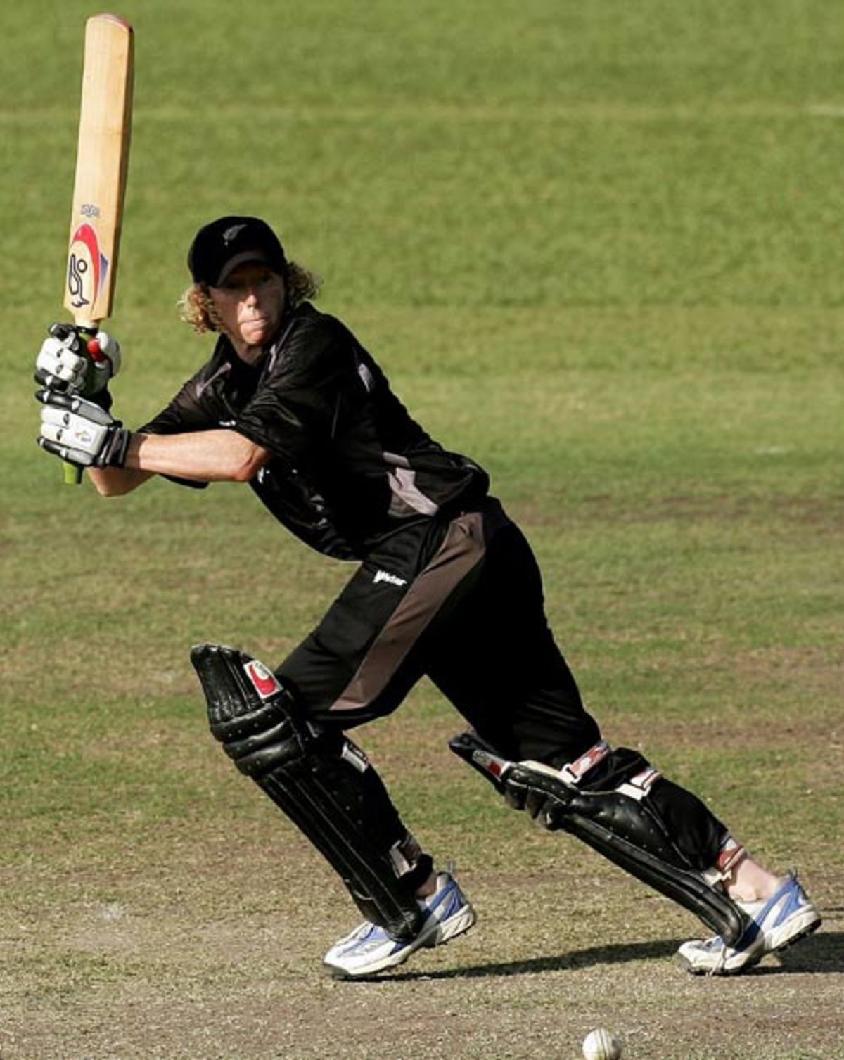 Haidee Tiffen's unbeaten 66 helped New Zealand overhaul Australia's score, Australia women v New Zealand women, 5th ODI, Rose Garden, Darwin, July 29, 2007
