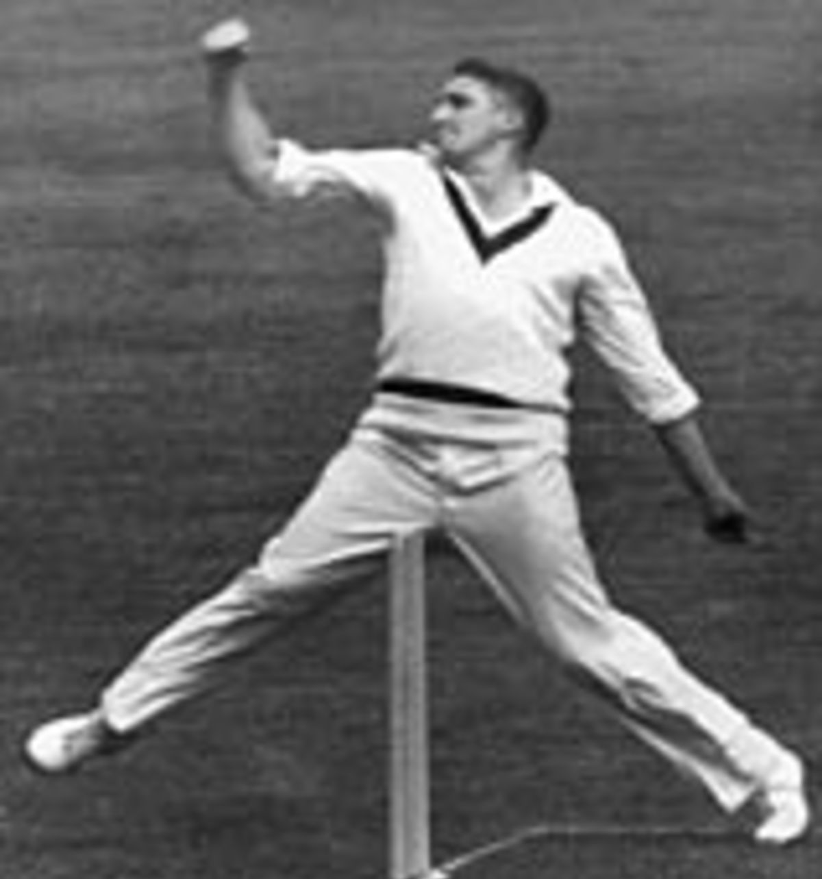 ICC Hall of Fame inductees Alan Davidson and Belinda Clark strike a