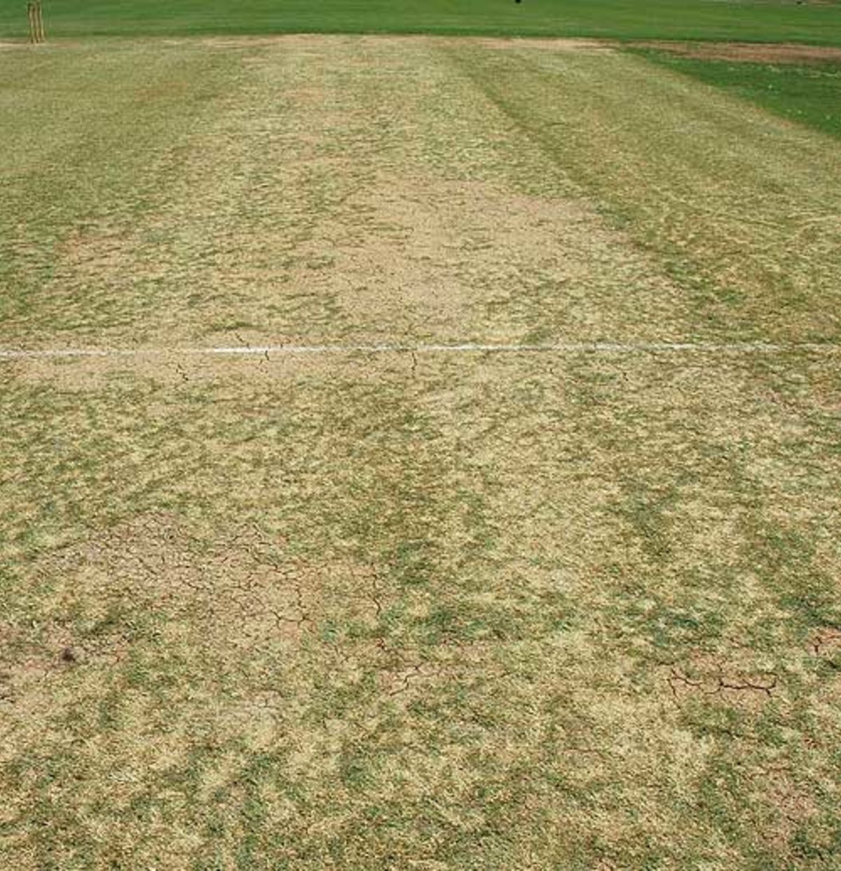 A view of the Queen's Park Oval pitch