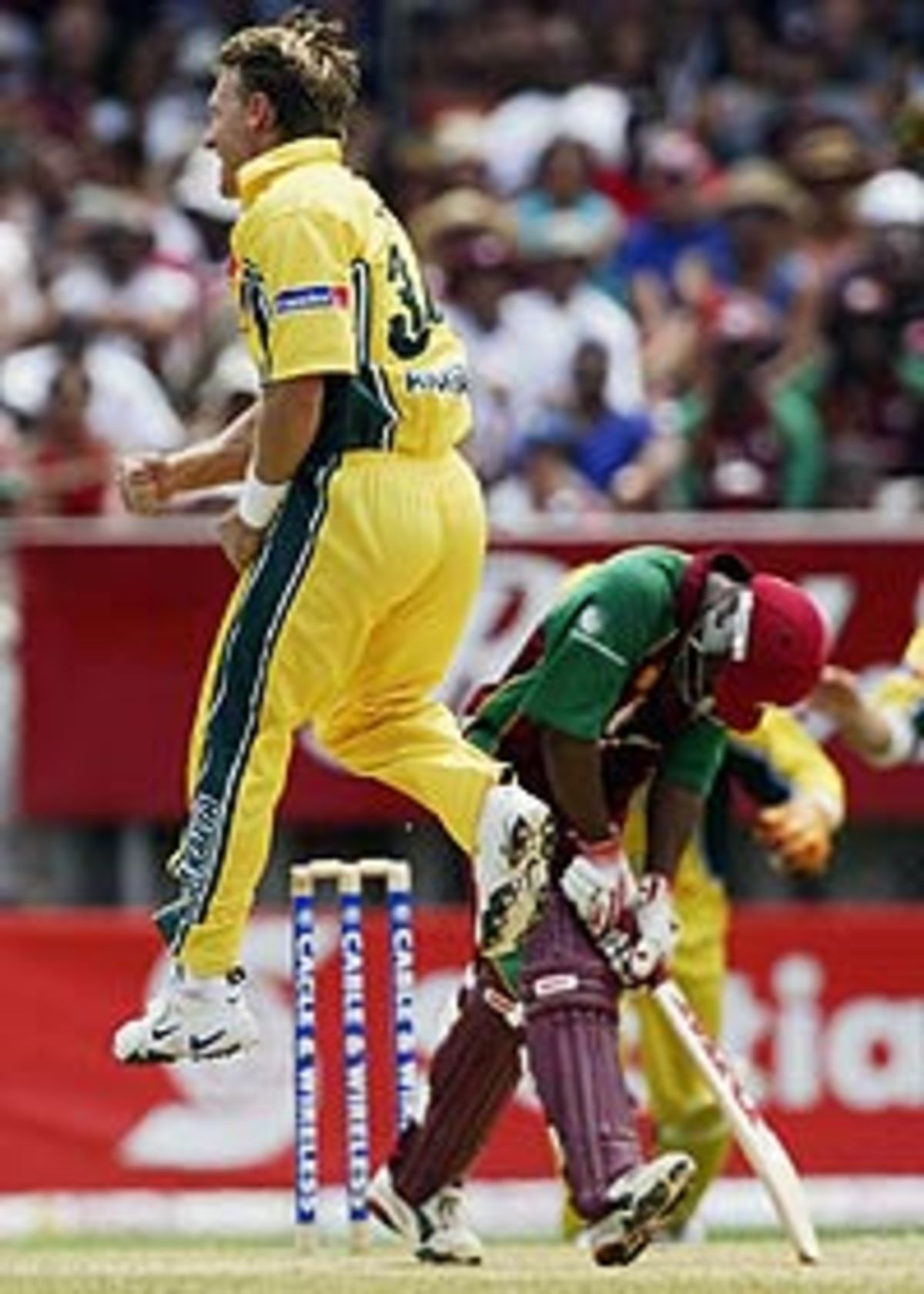 Andy Bichel Celebrates The Key Wicket Of Brian Lara May 18 2003 9380