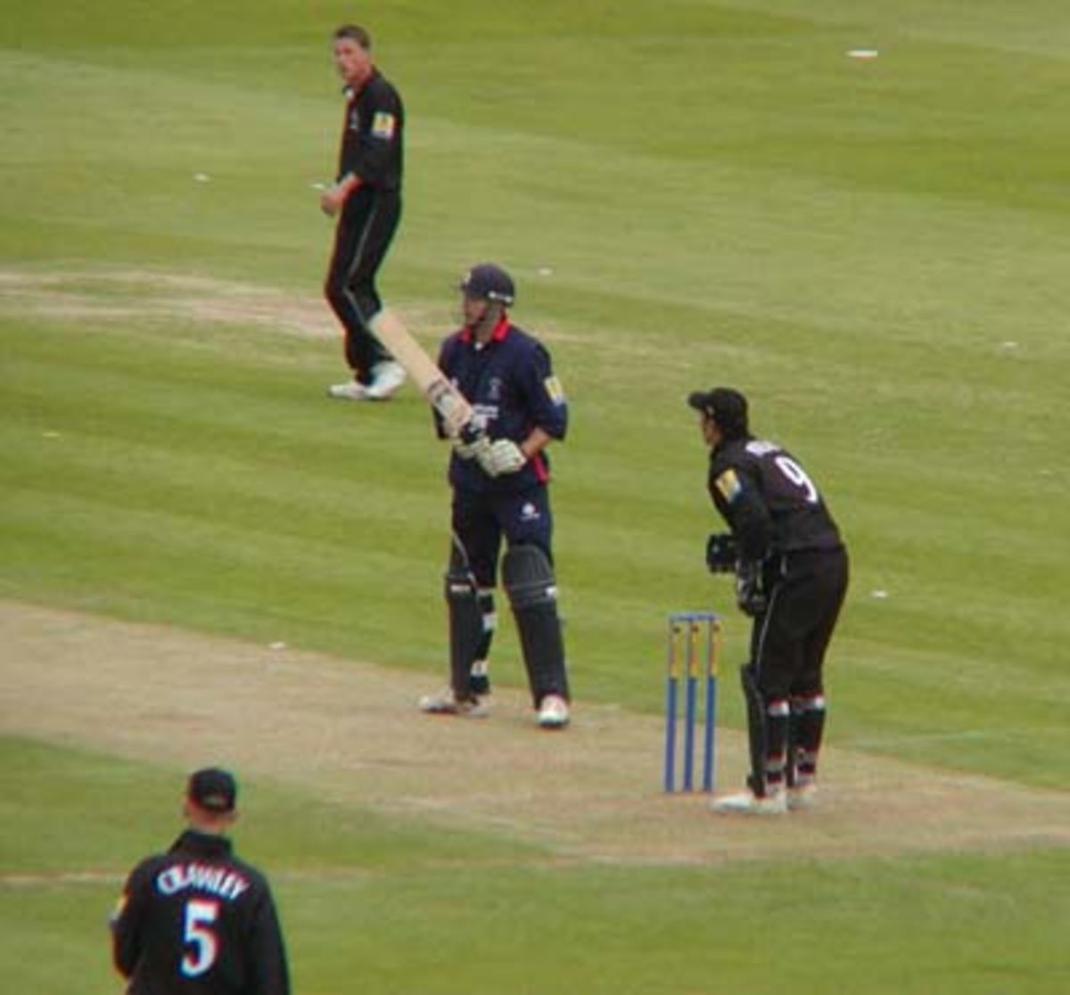 Hampshire Hawks in action at Lord's | ESPNcricinfo.com