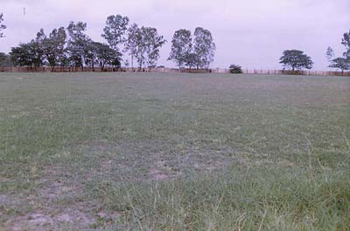 A ringside view of the Indra Gandhi Stadium at Orai | ESPNcricinfo.com