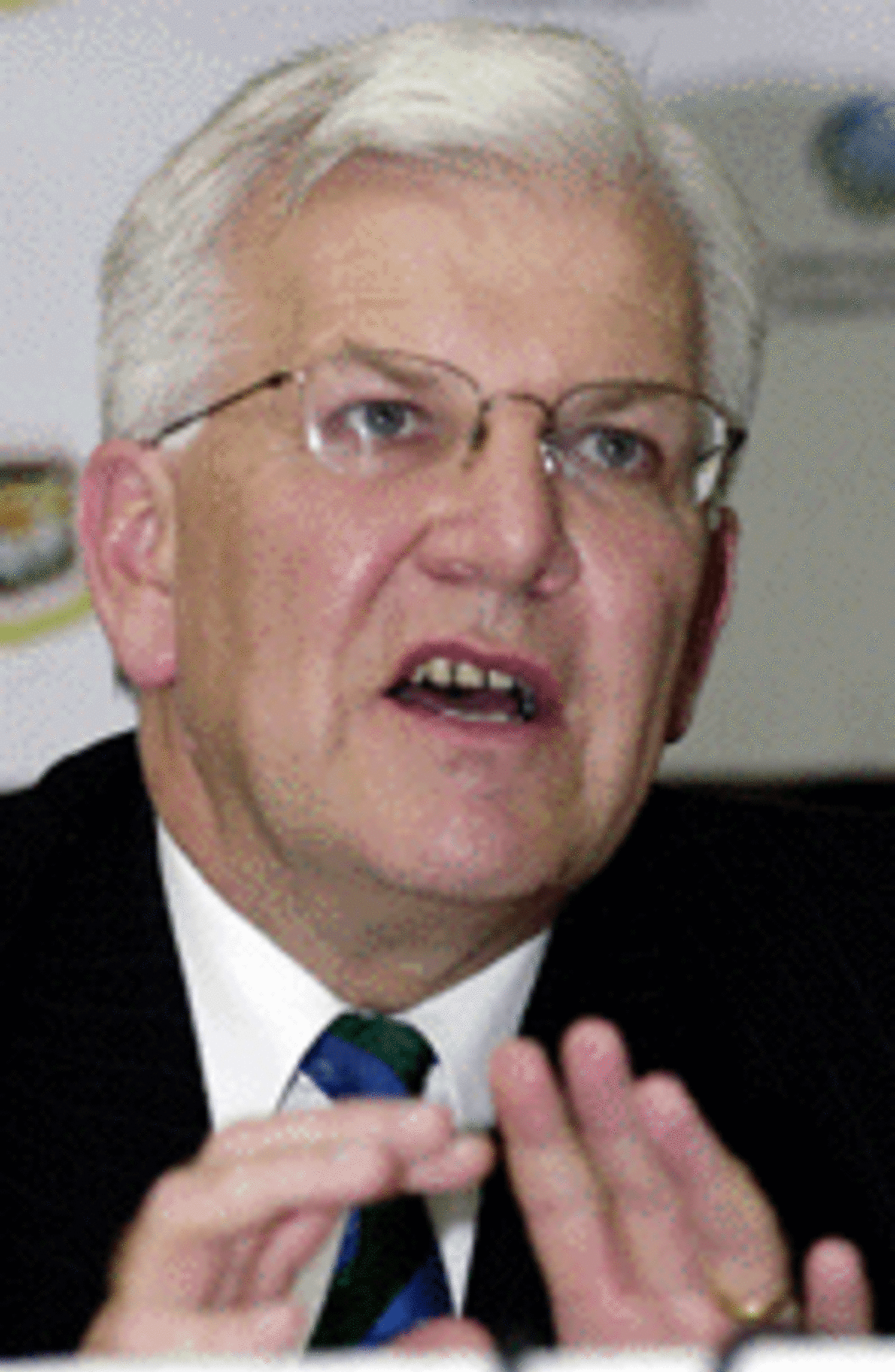 Lakshmipathy Balaji celebrates after dismissing Matthew Hayden Lakshmipathy Balaji celebrates after dismissing Matthew Hayden