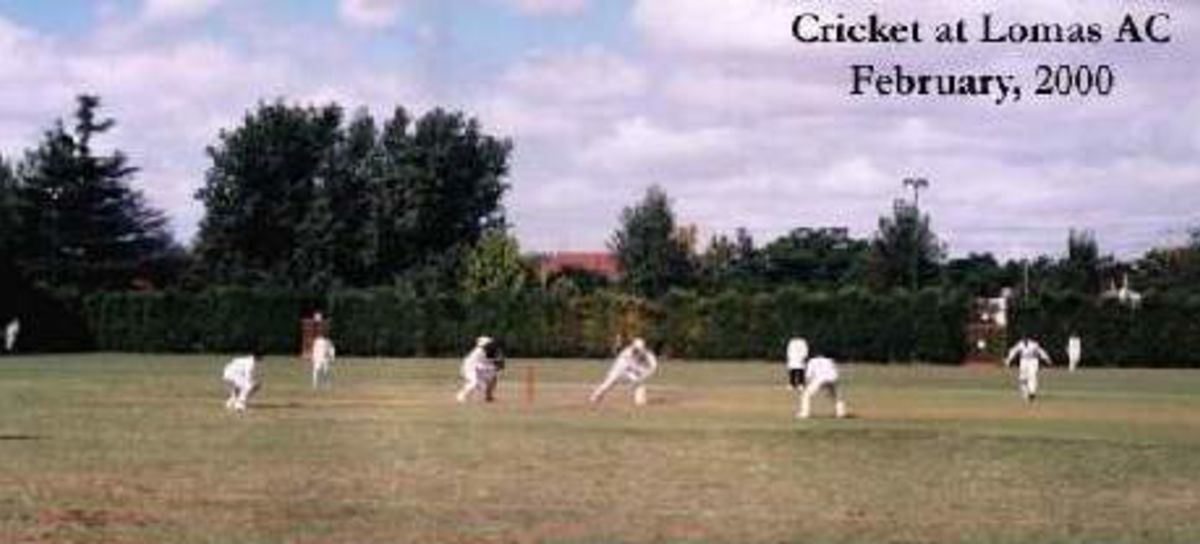 Cricket at Lomas AC