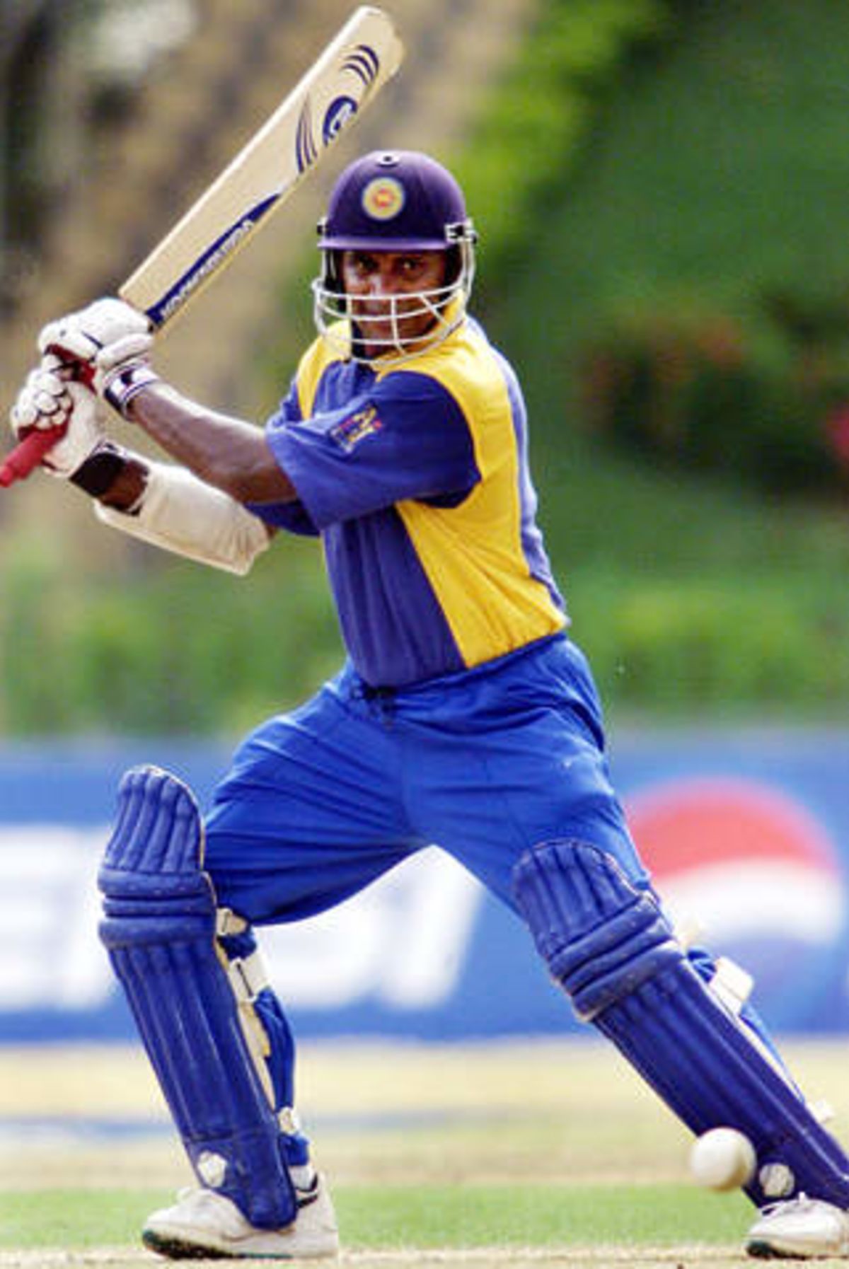 A telltale banner during the NetherlandsSri Lanka match