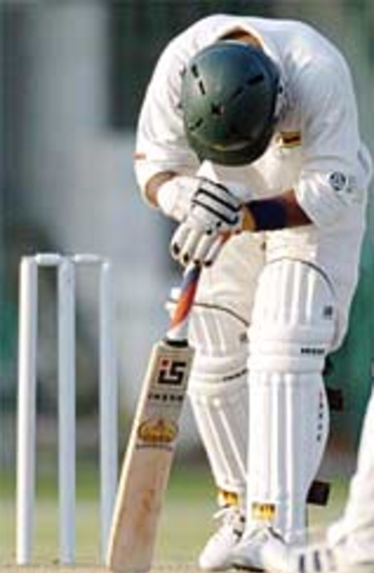 Dion Ebrahim stoops as Zimbabwe conquered