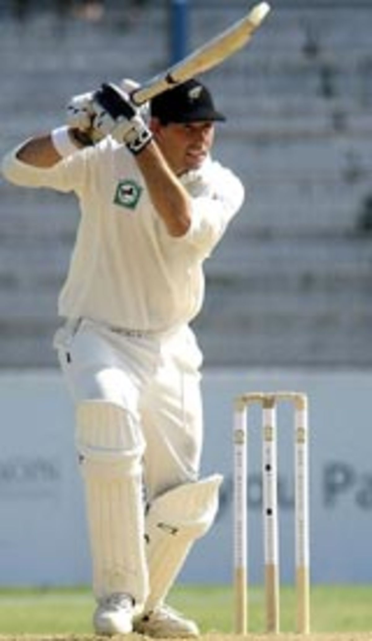 Stephen Fleming celebrates his hundred