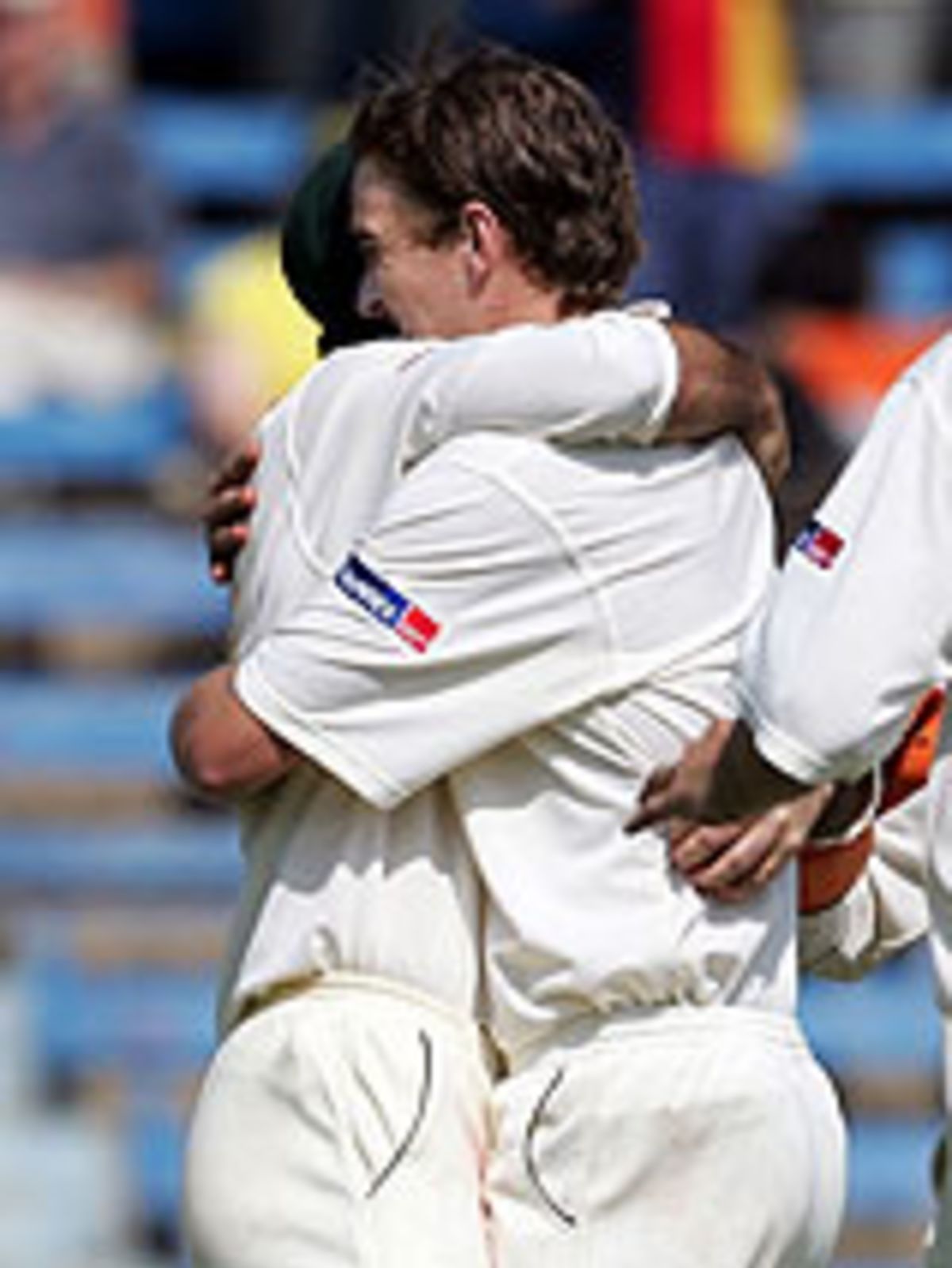 Jason Gillespie Celebrates The Wicket Of Sachin Tendulkar 9473