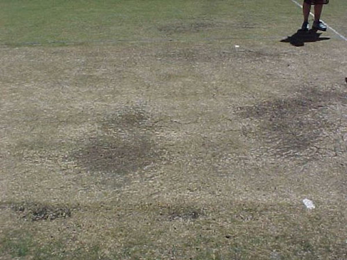 A close up view of the pitch before day five of the Second Test between South Africa and England in Port Elizabeth (13 December 1999)